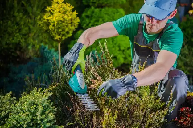 landscaping services Olla